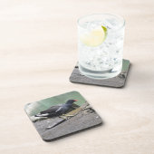 モーヘンコルクコースター コースター (右側)