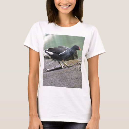 モーヘンレディースTシャツ Tシャツ (正面)