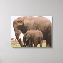 モーミーとベビーゾウ