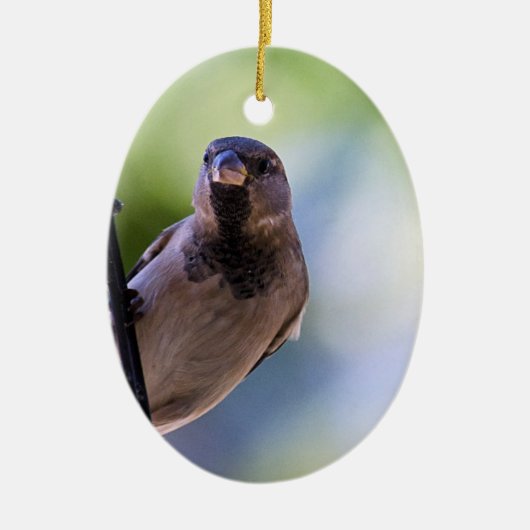 モーメントをスパローできるか セラミックオーナメント (正面)