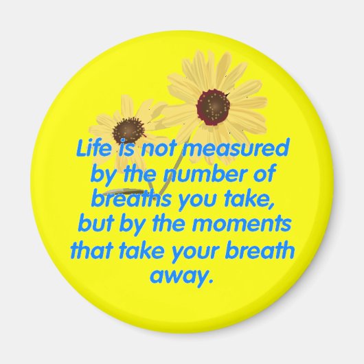 モーメント磁石 マグネット (正面)