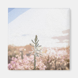 モーメントCo.マグネット マグネット