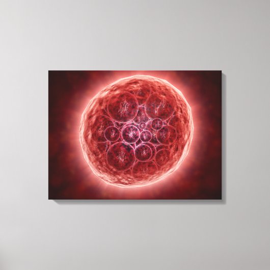 モーラを形成する芽球の集団 キャンバスプリント (正面)