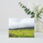 モーランド葉書に雲が降りてくる ポストカード (スタンド正面)