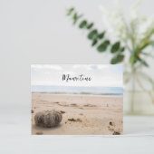 モーリシャスのはがき ポストカード (スタンド正面)