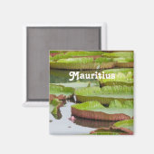 モーリシャスリリーパッド マグネット (正面/裏面)