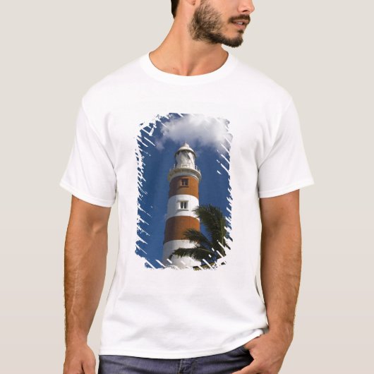 モーリシャス島, 西モーリシャス, ベルビュー, アルビオン Tシャツ (正面)