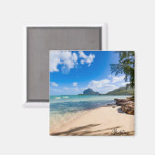 モーリシャス磁石 マグネット (正面/裏面)