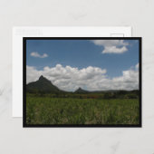 モーリシャス ポストカード (正面/裏面)