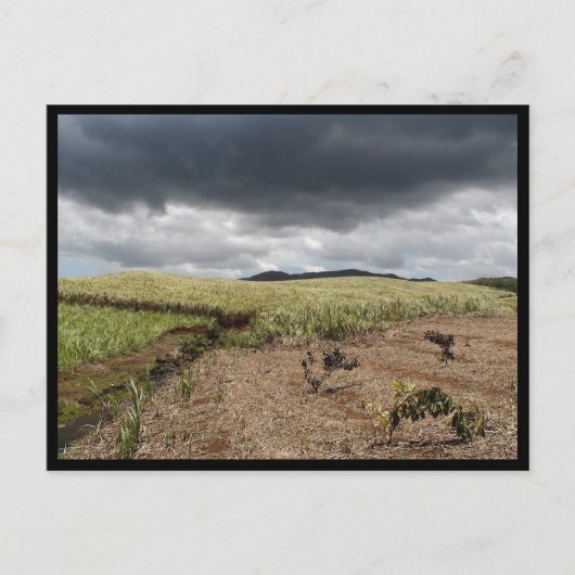 モーリシャス ポストカード (正面)