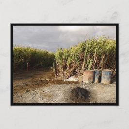 モーリシャス ポストカード