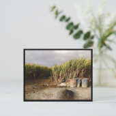 モーリシャス ポストカード (スタンド正面)