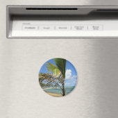 モーリシャス マグネット (インサイチュ (食洗機))