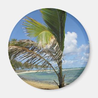 モーリシャス マグネット