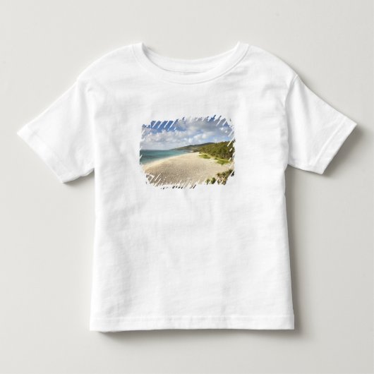 モーリシャス、ロドリゲス島、サン・フランソワ村 トドラーTシャツ (正面)