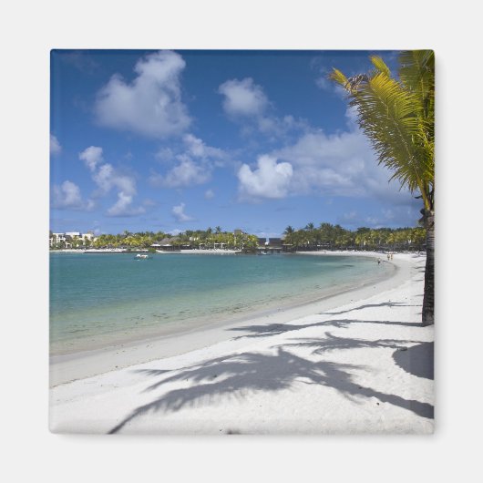 モーリシャス、東モーリシャス、トゥルー・ドゥ・ース、 マグネット (正面)