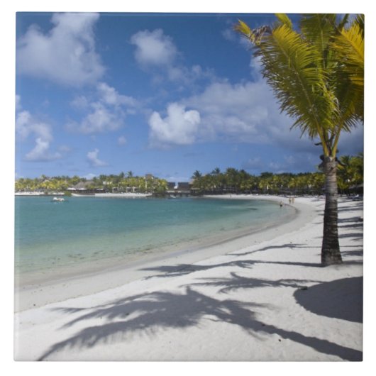 モーリシャス，東モーリシャス，トラウドウチェ， タイル (正面)