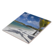 モーリシャス，東モーリシャス，トラウドウチェ， タイル (側面)