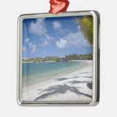 モーリシャス,東モーリシャス,トラウドウチェ, メタルオーナメント (左)