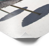 モーリシャス、東モーリシャス、ベルマーレ、 フォトプリント            (角)