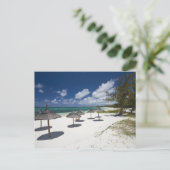 モーリシャス、東モーリシャス、ベルマーレ、 ポストカード (スタンド正面)