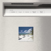 モーリシャス、東モーリシャス、ベルマーレ、 マグネット (インサイチュ (食洗機))