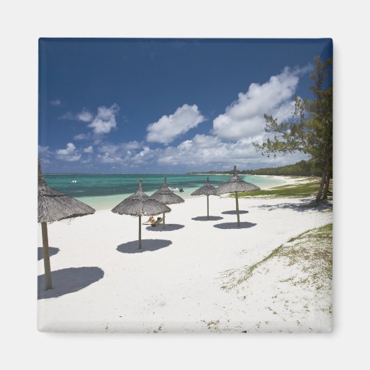 モーリシャス、東モーリシャス、ベルマーレ、 マグネット (正面)