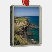 モーリシャス，西モーリシャス，ベルヴュー，海 メタルオーナメント (右)