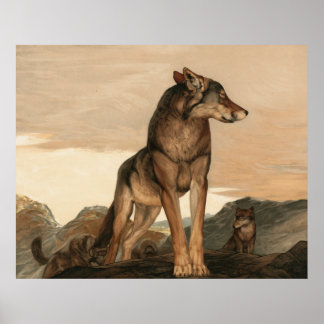 モーリスとエドワード・デトモールドによるアキーラ・ザ・ローンウルフ ポスター