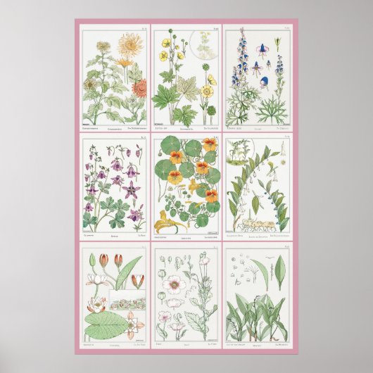 モーリスピラードヴェルヌイルボタニカルイラストレーション2 ポスター (正面)