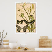 モーリス・ピラード・ヴェルヌイユのポスター ポスター (キッチン)