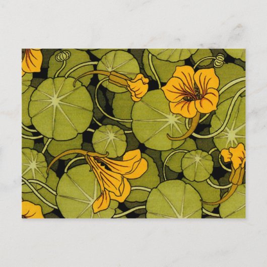 モーリス・ピラール( dit Verneil )フローラ・アール・ヌーヴェア ポストカード (正面)