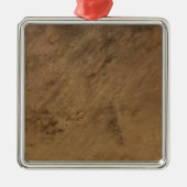 モーリタニアのテヌマークレーター メタルオーナメント (正面)