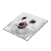 モーリーマルチーズ タイル (側面)