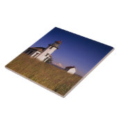 モーリー島、ポイントロビンソン灯台、WA タイル (側面)