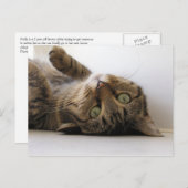 モーリー 案内ポストカード (正面/裏面)