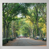 モールの木々 ポスター (正面)