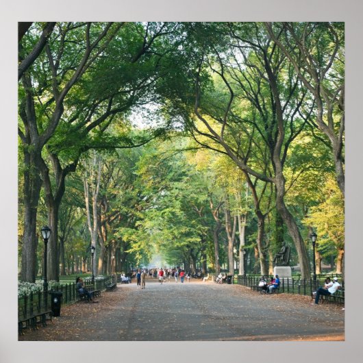 モールの木々 ポスター (正面)