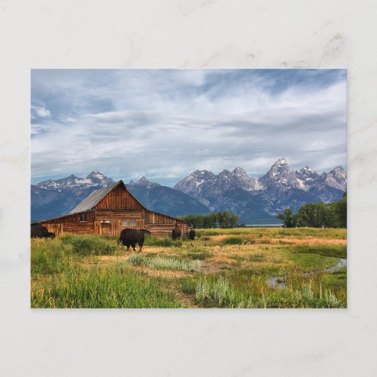 モールトンバーン ポストカード (正面)