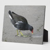 モーレおもしろいンが弓の額を取る フォトプラーク (側面)