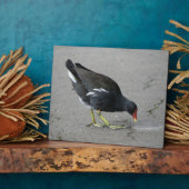 モーレおもしろいンが弓の額を取る フォトプラーク (側面)