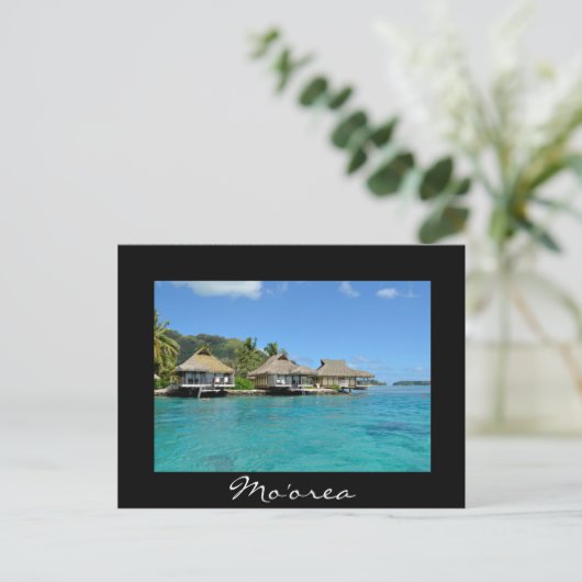 モーレアの水上バケーション バンガロー ポストカード (スタンド正面)