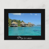 モーレアの水上バケーション バンガロー ポストカード (正面)