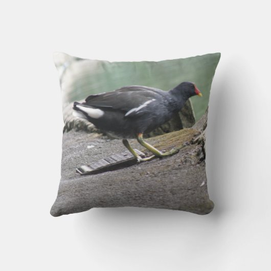 モーレン枕 クッション (裏面)