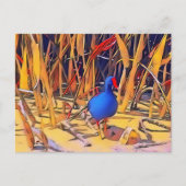 モーレン葉書 ポストカード (正面)