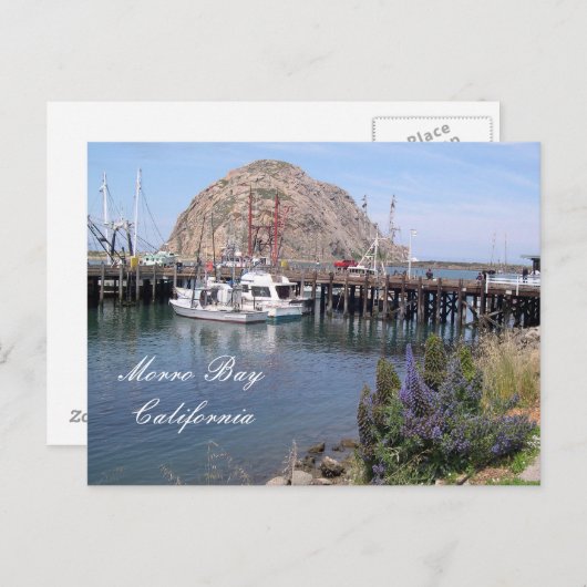 モーロベイ魚釣り波止場,カリフォルニア ポストカード (正面/裏面)