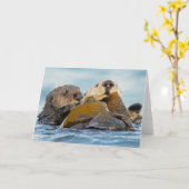 モーロ湾のカリフォルニア海のカワウソ カード (黄色い花)