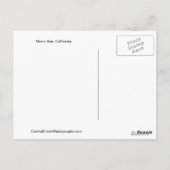 モーロ湾，カリフォルニアのはがき ポストカード (裏面)