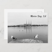 モーロ・ベイ・カリフォルニアのカモメ ポストカード (正面/裏面)