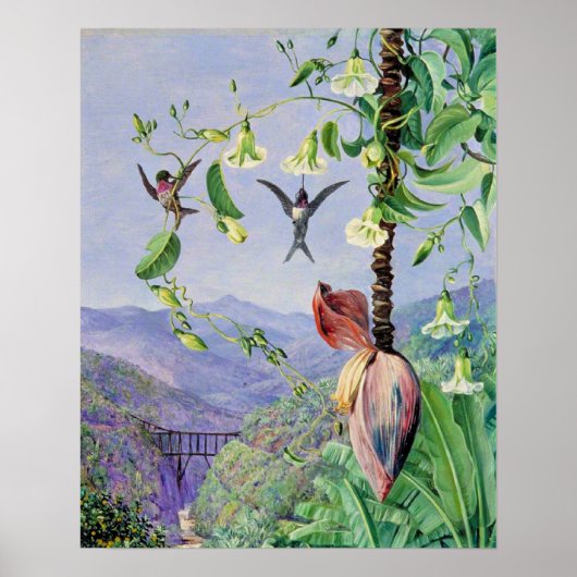 モーロ・ベルホ水道 ポスター (正面)